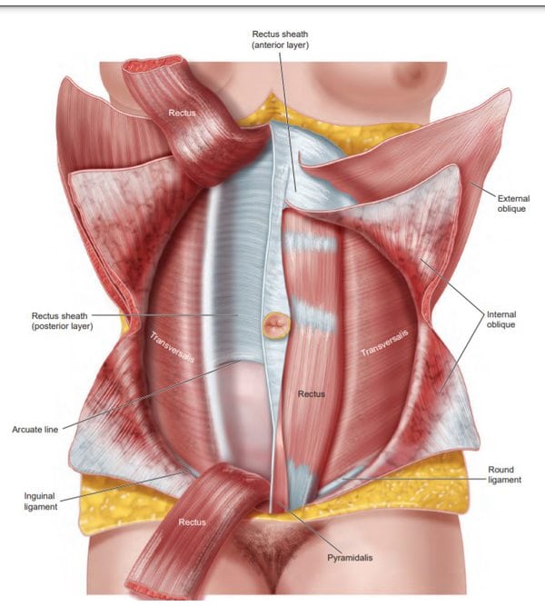 Атлас анатомії таза й гінекологічної хірургії (Atlas of Pelvic Anatomy and Gynecologic Surgery)