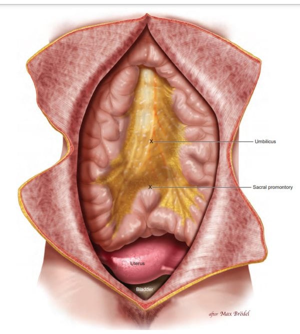Атлас анатомії таза й гінекологічної хірургії (Atlas of Pelvic Anatomy and Gynecologic Surgery)
