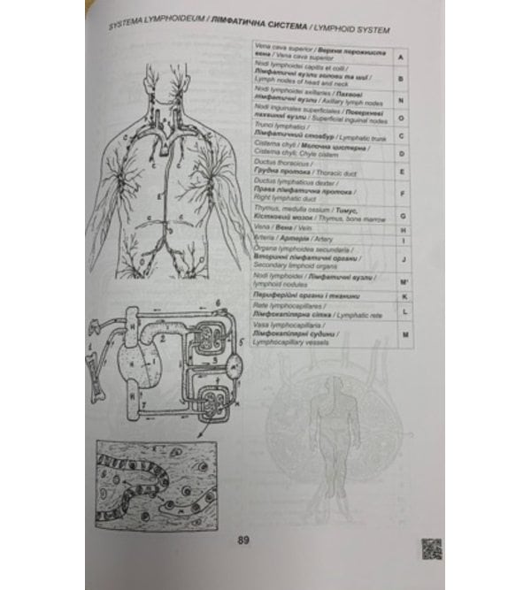 Анатомія людини/ Human anatomy (контроль за самостійною підготовкою до практичних занять). Видання 11-е доповнене.