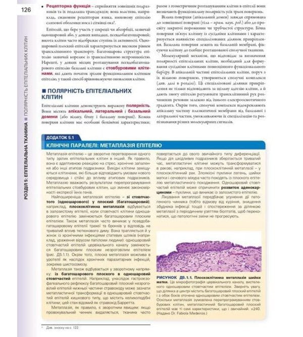 Гістологія: підручник і атлас. З основами клітинної та молекулярної біології: у 2 томах. Том 1