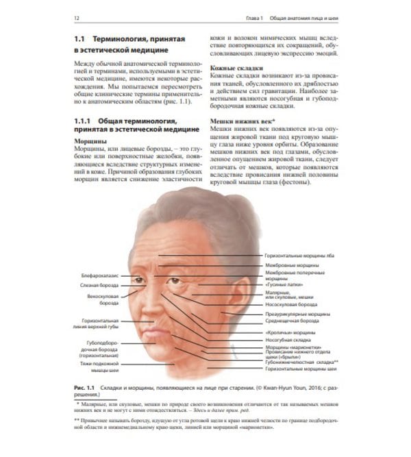 Клиническая анатомия лица применительно к контурной пластике с помощью филлеров и ботулотоксина