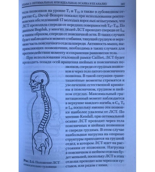 Настольная книга остеопата. Основы биомеханики движения тела