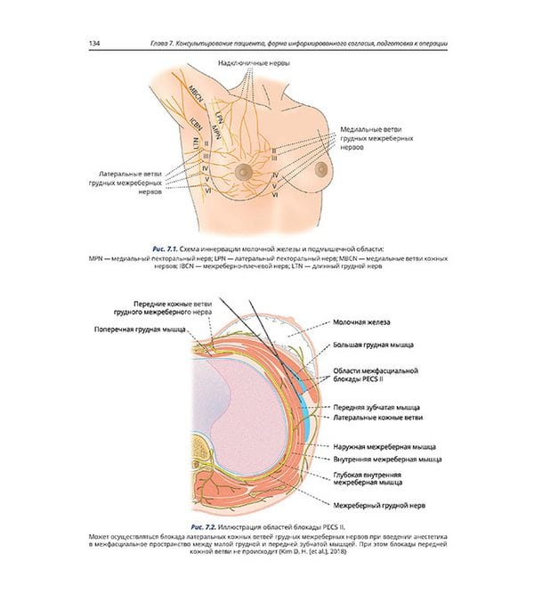 Основы и принципы онкопластической хирургии при раке молочной железы