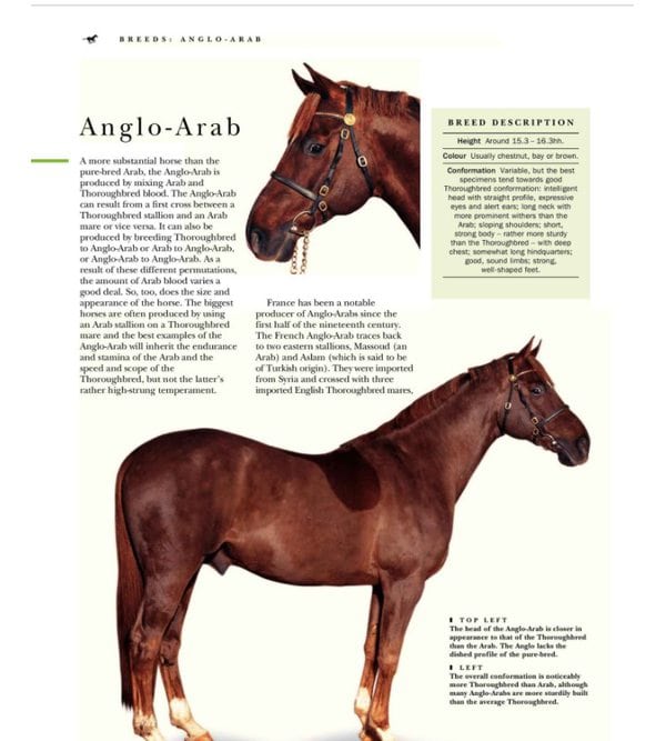 The Complete Book of Horses: Breeds, Care, Riding, Saddlery