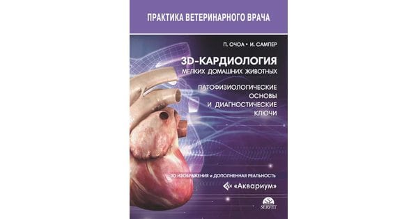 3d-kardiologia-zhivotnyh-