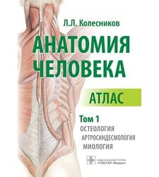 Анатомия человека : атлас : в 3 т. Т. 1. Остеология, артросиндесмология, миология 