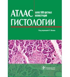 Атлас гистологии