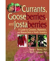 Currants, Gooseberries, and Jostaberries