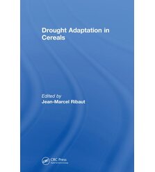 Drought Adaptation in Cereals