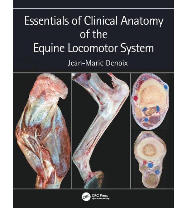 Essentials of Clinical Anatomy of the Equine Locomotor System