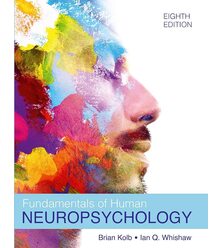 Основи нейропсихології людини (Fundamentals of Human Neuropsychology)