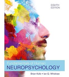 Основи нейропсихології людини (Fundamentals of Human Neuropsychology)
