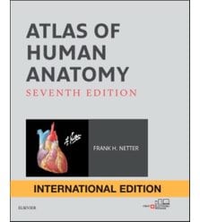 Atlas of Human Anatomy (Атлас анатомії людини Неттера)