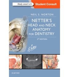 Анатомія голови і шиї для стоматологів за Неттером