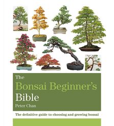 The Bonsai Beginner's Bible