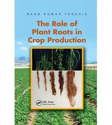 The Role of Plant Roots in Crop Production