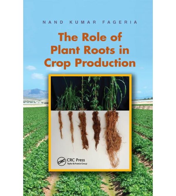 The Role of Plant Roots in Crop Production