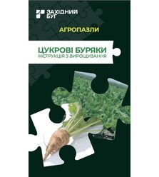 Цукрові буряки. Інструкція з вирощування