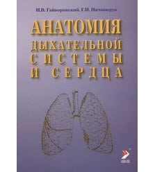 Анатомия дыхательной системы и сердца