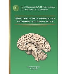 Функционально-клиническая анатомия головного мозга 