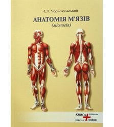 Анатомія м'язів