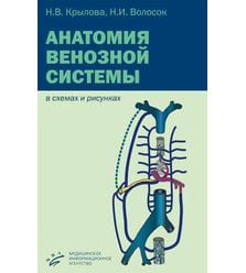Анатомия венозной системы в схемах и рисунках