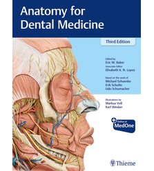 Анатомія для стоматологів (Anatomy for Dental Medicine)