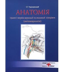 Анатомія судин і нервів верхньої та нижньої кінцівок
