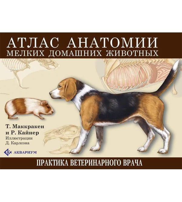 Атлас анатомии мелких домашних животных. 