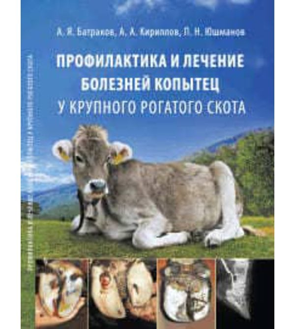 Профилактика и лечение болезней копытец у крупного рогатого скота 