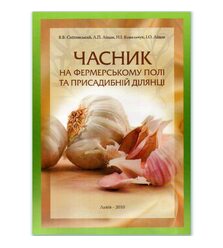 Часник на фермерському полі та присадибній ділянці