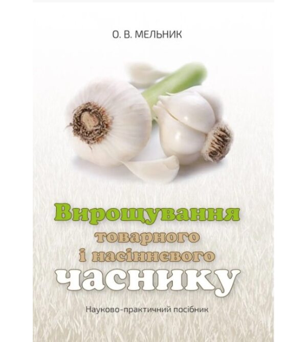 Вирощування товарного і насіннєвого часнику