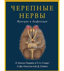 Черепные нервы. Функция и дисфункция