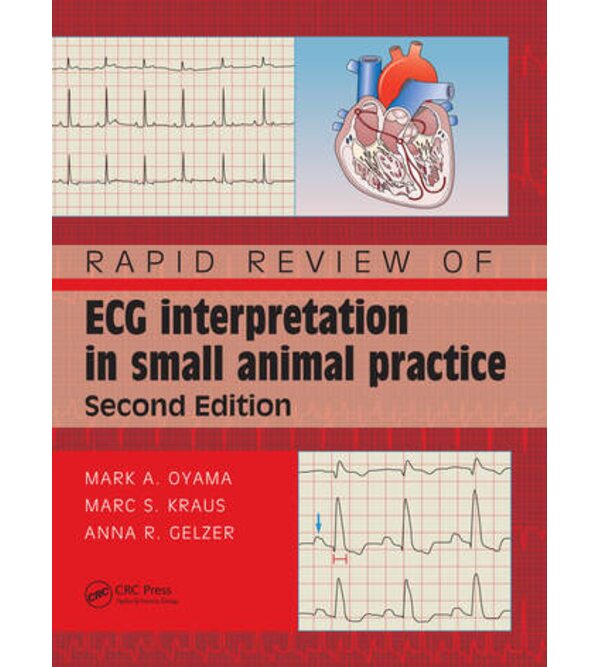 Rapid Review of ECG Interpretation in Small Animal Practice