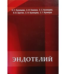 Эндотелий. Физиология и патология
