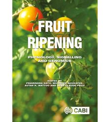 Fruit Ripening