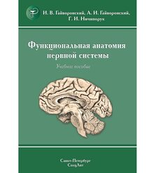 Функциональная анатомия нервной системы