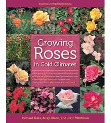 Growing Roses in Cold Climates