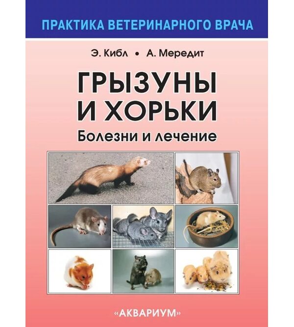 Грызуны и хорьки. Болезни и лечение