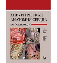 Хирургическая анатомия сердца по Уилкоксу