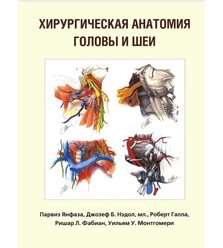 Хирургическая анатомия головы и шеи