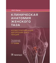 Клиническая анатомия женского таза : иллюстрированный авторский цикл лекций