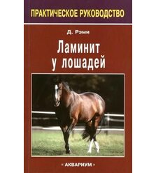 Ламинит у лошадей