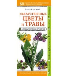 Лекарственные цветы и травы