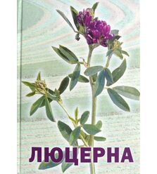 Люцерна