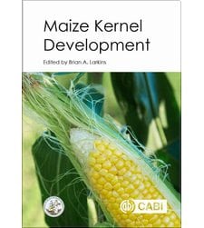 Maize Kernel Development