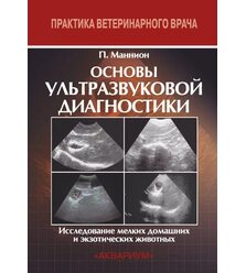 Основы ультразвуковой диагностики. Исследование мелких домашних и экзотических животн..