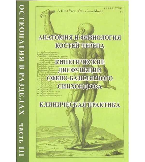 Остеопатия в разделах. Часть 3. Анатомия и физиология костей черепа, кинетические дисфункции сфено-базилярного синхондроза, клиническая практика