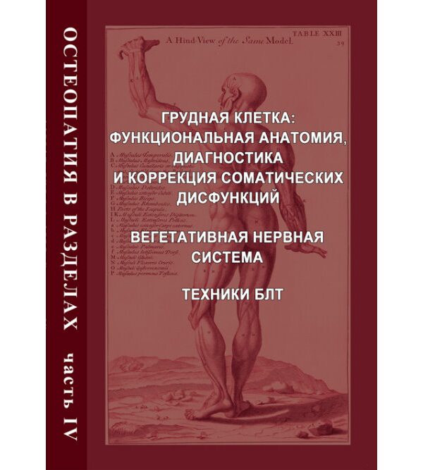Остеопатия в разделах. Часть 4. Грудная клетка: функциональная анатомия, диагностика и коррекция соматических дисфункций; Вегетативная нервная система; Техники БЛТ