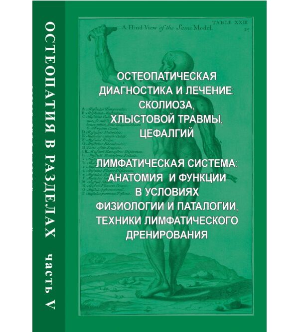 Остеопатия в разделах. Часть 5: Остеопатическая диагностика и лечение сколиоза